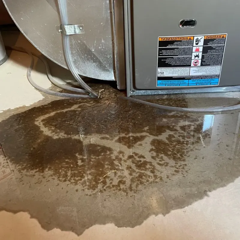 Pipe Burst and Leak Restoration in Weatogue, CT